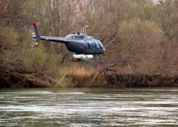 Inicien el tractament contra la mosca negra amb crítiques als ‘entrebancs’ de la CHE