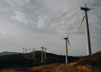 Els principals grups ecologistes reclamen als partits la derogació del decret de renovables