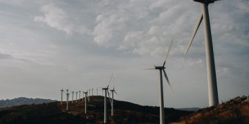 Els principals grups ecologistes reclamen als partits la derogació del decret de renovables