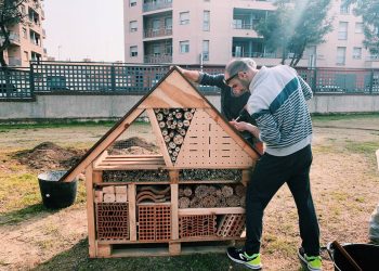 Amposta té un hotel d’insectes i caixes nius per a ocells i ratpenats al parc de Xiribecs