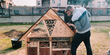 Amposta té un hotel d’insectes i caixes nius per a ocells i ratpenats al parc de Xiribecs