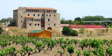 El Govern modifica els estatuts de l’Institut Ramon Muntaner per afegir-hi els ateneus