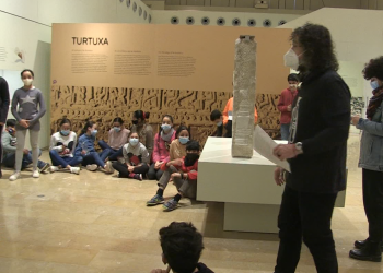 Alumnes de sisè de Remolins seran guies per un dia al Museu de Tortosa