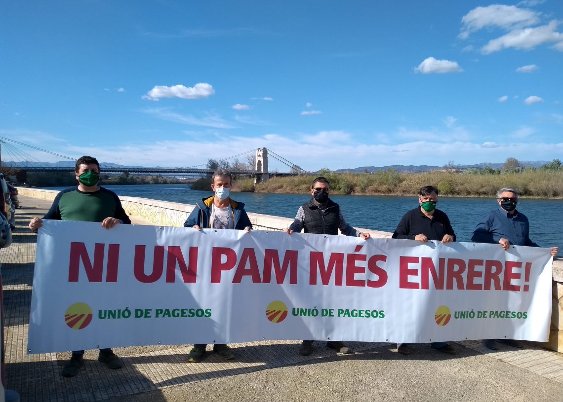 UP presenta al·legacions al pla del Delta i una denúncia a la Comissió Europea