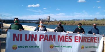 UP presenta al·legacions al pla del Delta i una denúncia a la Comissió Europea