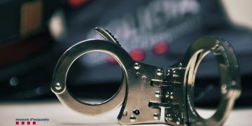 Quatre detinguts per tenir plantacions de marihuana a l’Ampolla i Roquetes