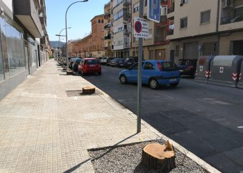 L’associació de veïns es desmarca de la tala d’arbres a l’avinguda Colom de Ferreries