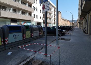 La CUP anima Movem i ERC a fer una moció de censura a Tortosa arran de la tala d’arbres