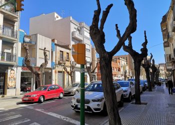 Tortosa Verda demana més participació ciutadana i un pla municipal d’arbrat
