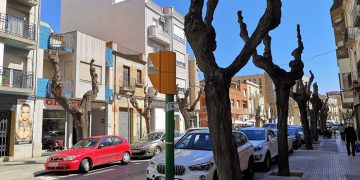 Tortosa Verda demana més participació ciutadana i un pla municipal d’arbrat