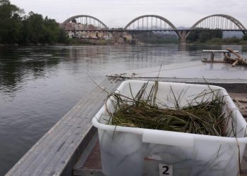 El COPATE realitza el segon tractament de l’any contra la mosca negra de l’Ebre