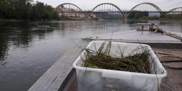 El COPATE realitza el segon tractament de l’any contra la mosca negra de l’Ebre
