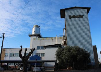 Cinc cooperatives de l’Ebre s’uneixen per comprar Olis Ballester de Tortosa