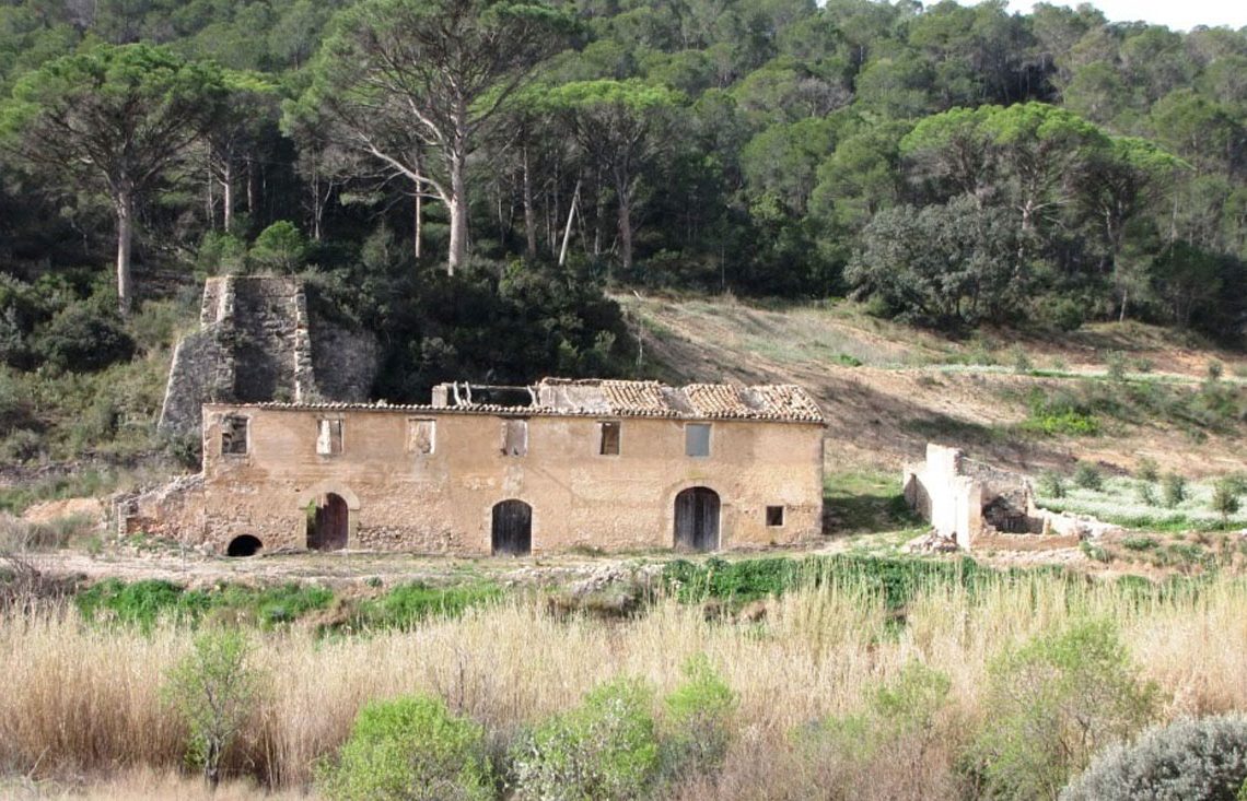 ‘Al vent: legalitat i honestedat’, per Antonio López Fernández