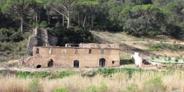 ‘Al vent: legalitat i honestedat’, per Antonio López Fernández