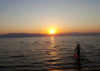 Paradisos particulars