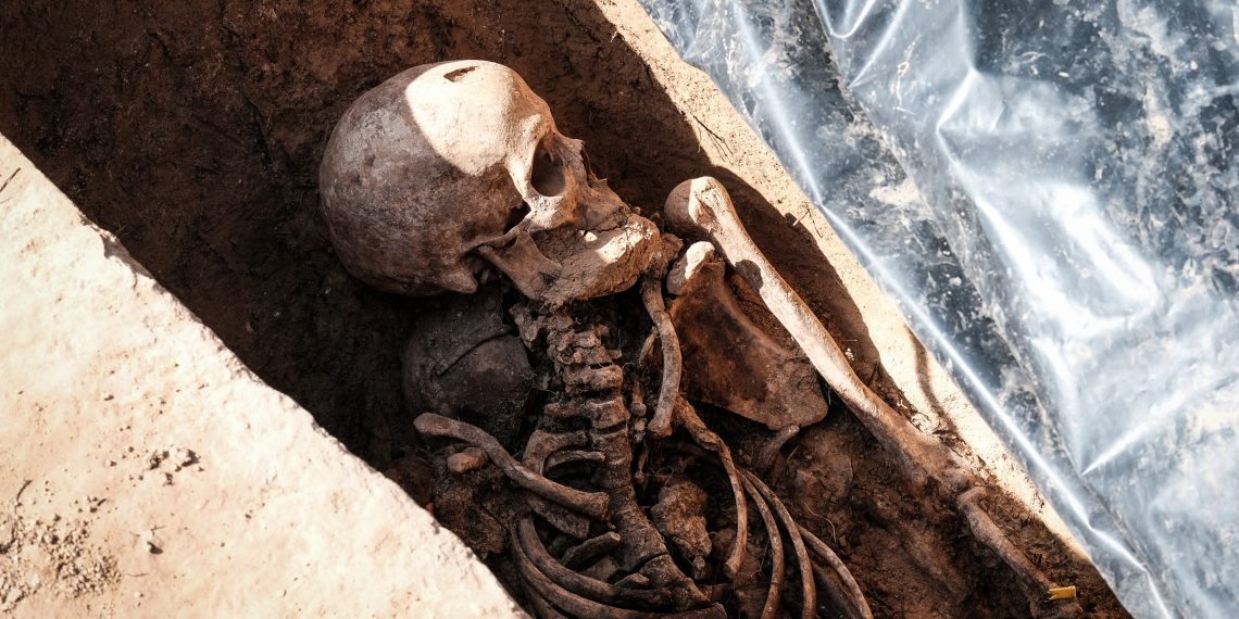Ribera d’Ebre: esclat de bellesa i de memòria