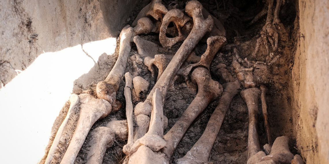 Ribera d’Ebre: esclat de bellesa i de memòria