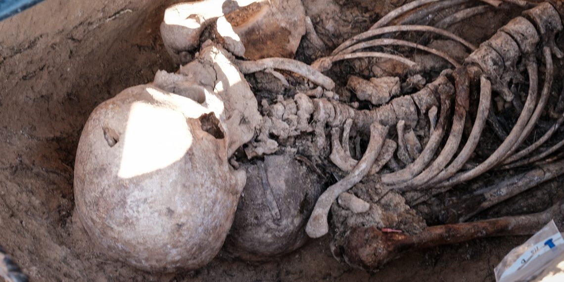 Ribera d’Ebre: esclat de bellesa i de memòria
