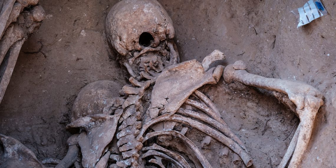 Ribera d’Ebre: esclat de bellesa i de memòria