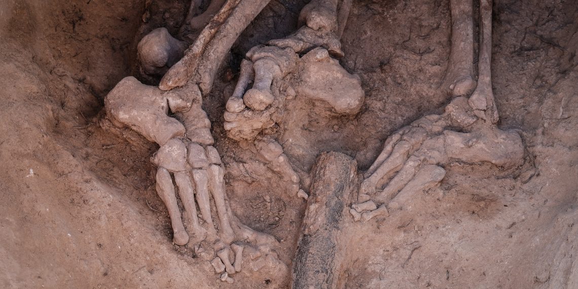 Ribera d’Ebre: esclat de bellesa i de memòria