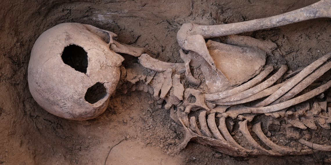 Ribera d’Ebre: esclat de bellesa i de memòria