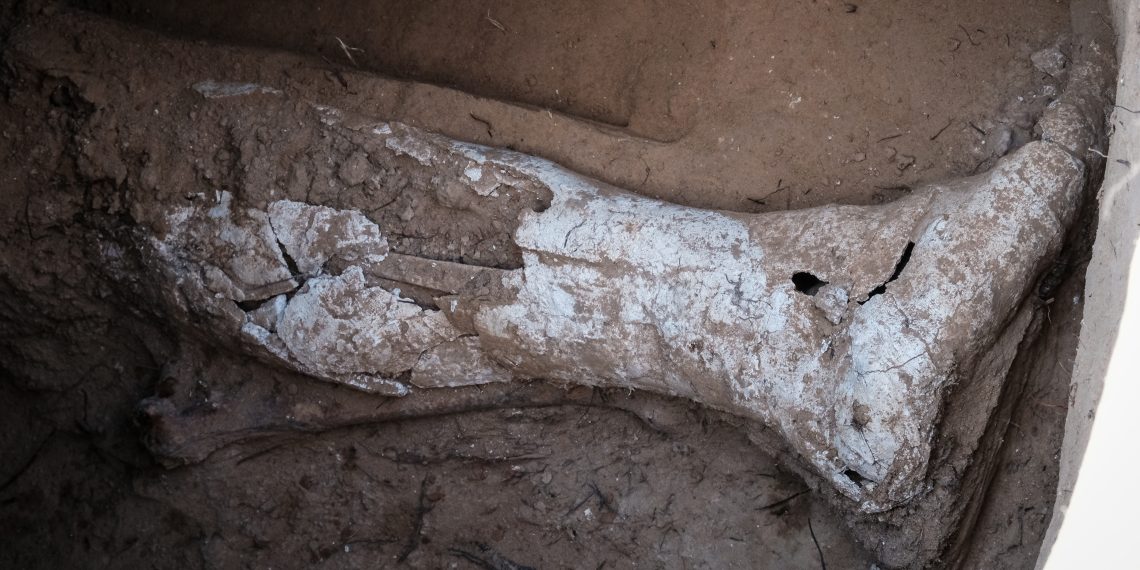 Ribera d’Ebre: esclat de bellesa i de memòria