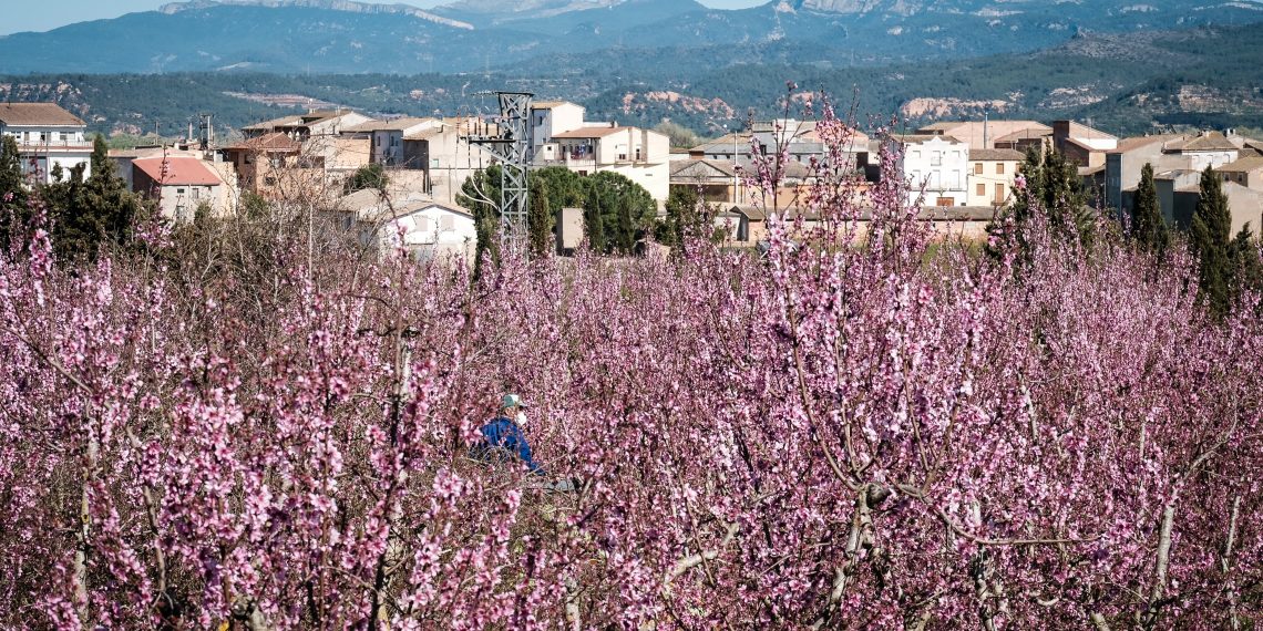 Ribera d’Ebre: esclat de bellesa i de memòria
