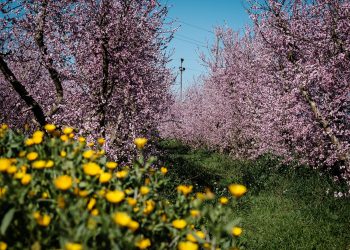 Ribera d’Ebre: esclat de bellesa i de memòria