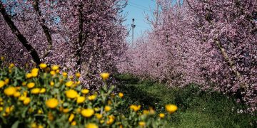 Ribera d’Ebre: esclat de bellesa i de memòria
