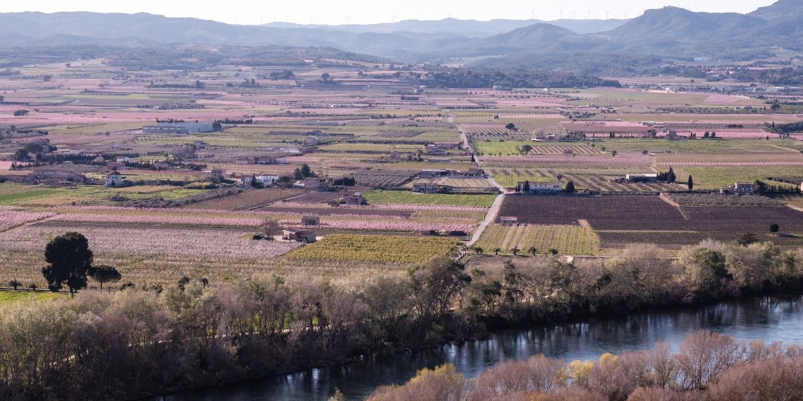 Ribera d’Ebre: esclat de bellesa i de memòria
