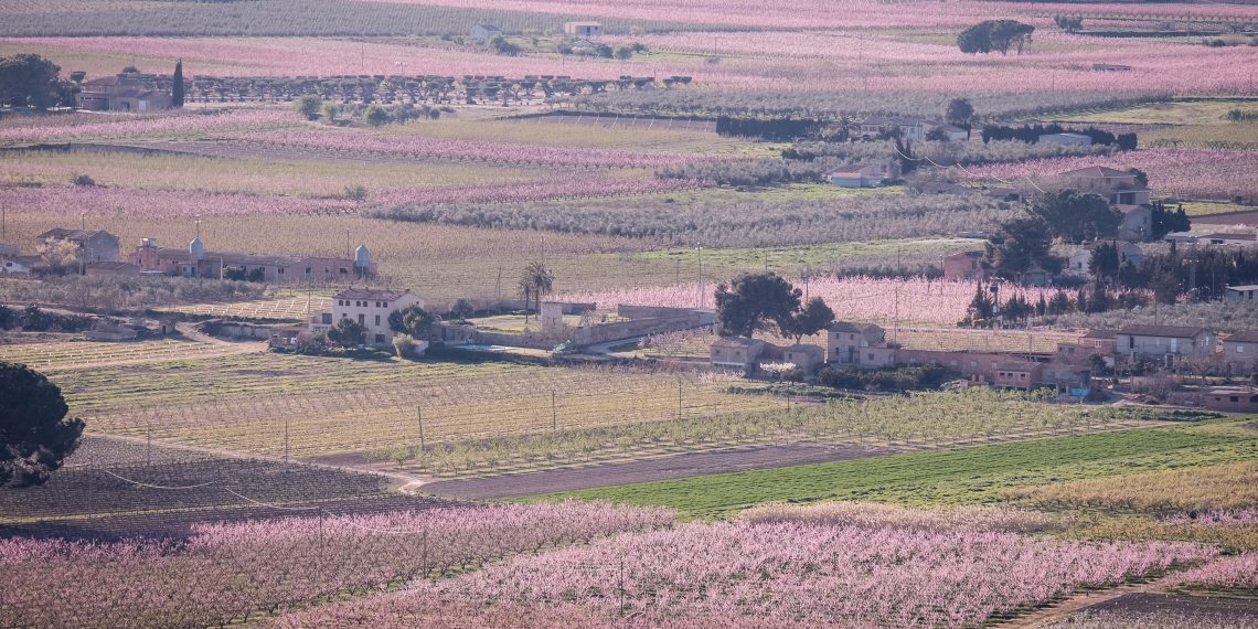 Ribera d’Ebre: esclat de bellesa i de memòria