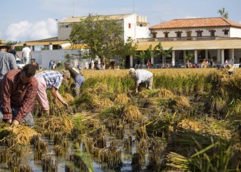 Ribera descarta al Senat cedir la finca de Bombita a l’Ajuntament de Deltebre
