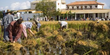 Ribera descarta al Senat cedir la finca de Bombita a l’Ajuntament de Deltebre