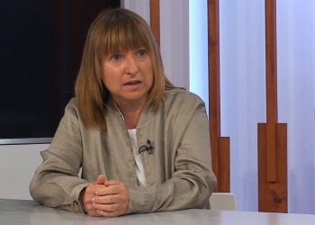 Un projecte de recerca ebrenc vol predir quan i com seran les epidèmies de grip