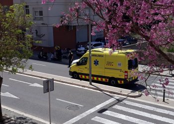 Movem reclama la pacificació del trànsit a la carretera entre Tortosa i Roquetes