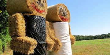 L’home de palla i la creació de continguts en català