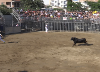 Ferit greu un home per una cornada en el primer correbou de la temporada a l’Ampolla