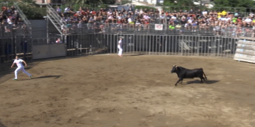 Ferit greu un home per una cornada en el primer correbou de la temporada a l’Ampolla