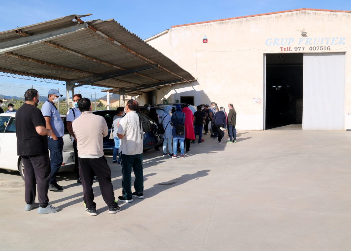 La vacunació de temporers de la fruita dolça a l’Ebre comença aquest dijous