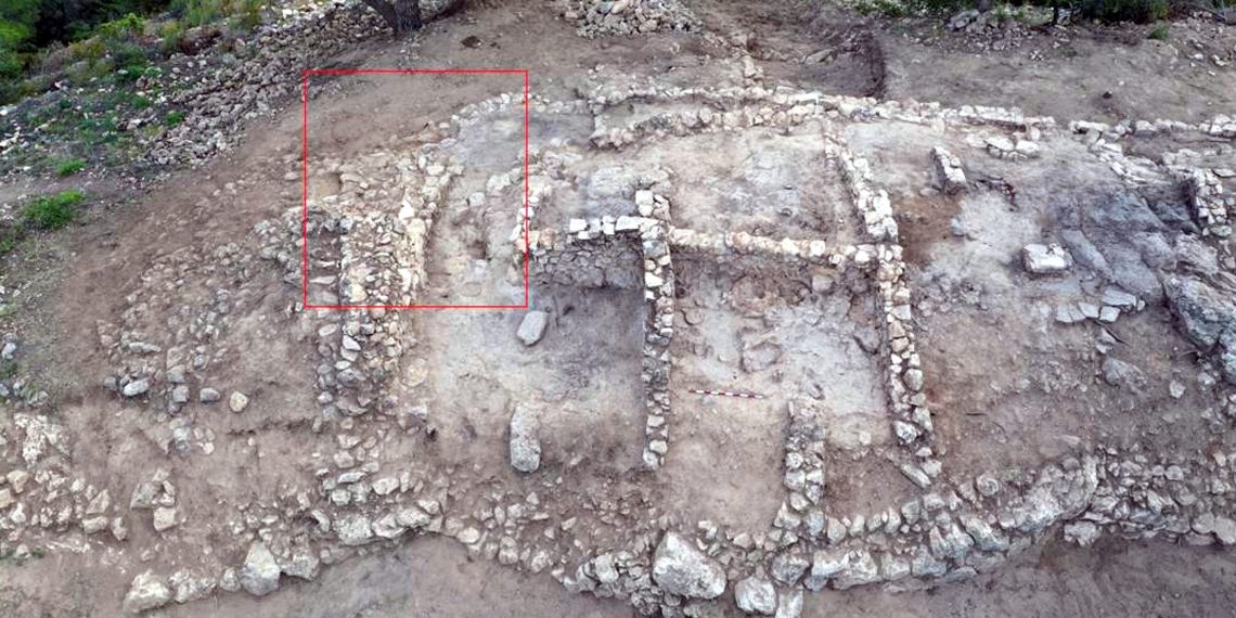 Una casa descoberta a la Serra d’Almos pot explicar la jerarquització de la cultura ibera