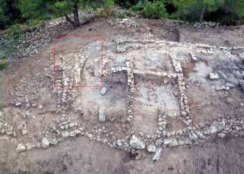 Una casa descoberta a la Serra d’Almos pot explicar la jerarquització de la cultura ibera