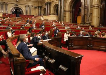 El Parlament aprova crear una comissió d’estudi sobre la protecció del Delta