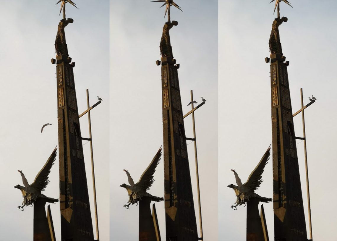 ‘Lo pardalot del riu com a punta de l’iceberg’, per Xavier Villalbí Tomàs