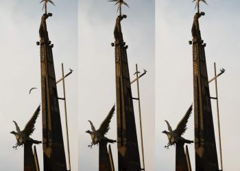 ‘Lo pardalot del riu com a punta de l’iceberg’, per Xavier Villalbí Tomàs