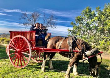 Naix el portal ‘Escapades amb nens’ per fer turisme familiar al Camp i l’Ebre