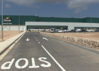 Florette ja produeix amanides a Tortosa