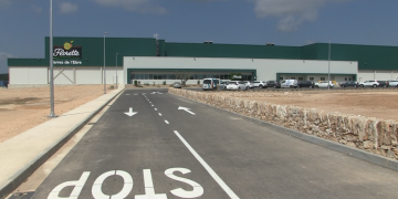 Florette ja produeix amanides a Tortosa