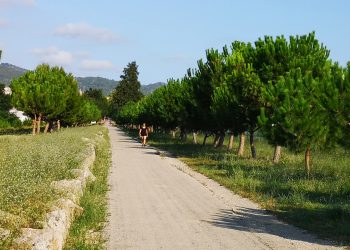 El Consell Comarcal instal·larà enllumenat a la Via Verda entre Tortosa i Roquetes