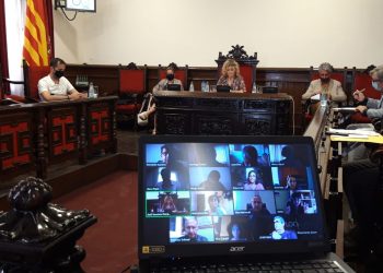 El ple de Tortosa rebutja la moció de Vaga Feminista sobre el dret a l’avortament